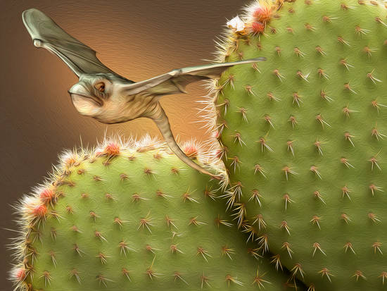 Cactus Dragon