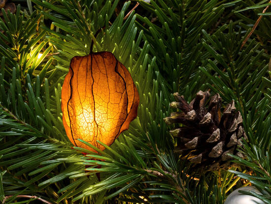 Christmas Tree Ornament