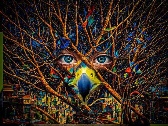 Eyes and Hawk Nose