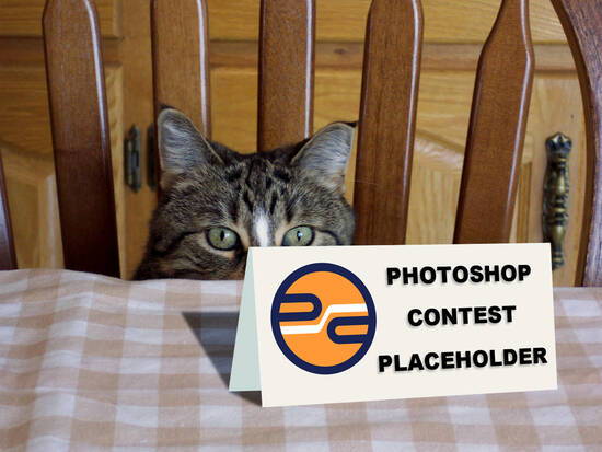 Placeholder?