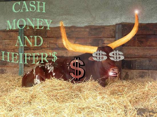 Cash Cowz