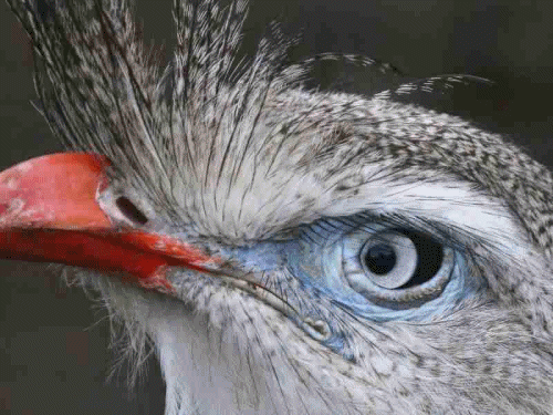 Got my eye on you