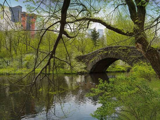 Springtime