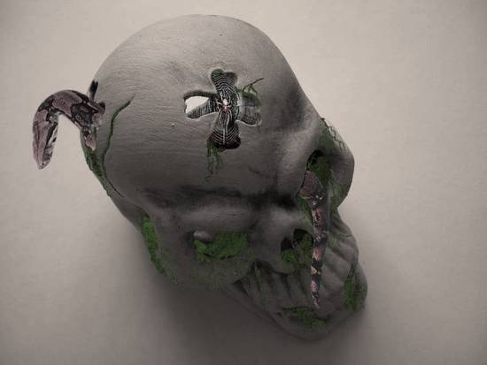 Nature skull