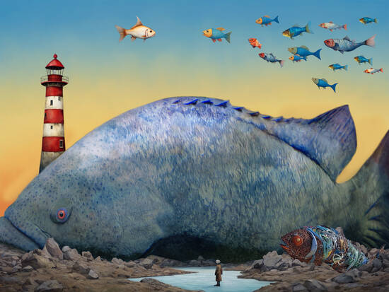 Stranded grouper beach 