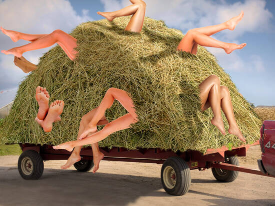 Fun Hay Ride?