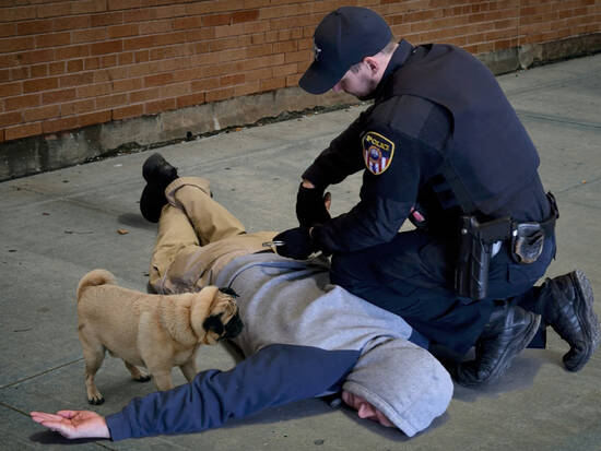 Dogs must be on a leash