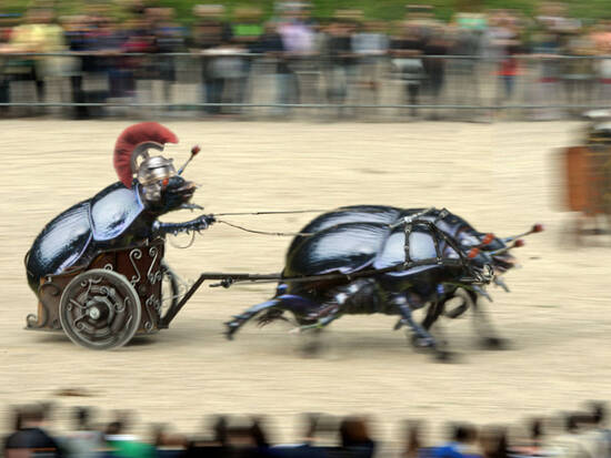 Chariot in ancient rome