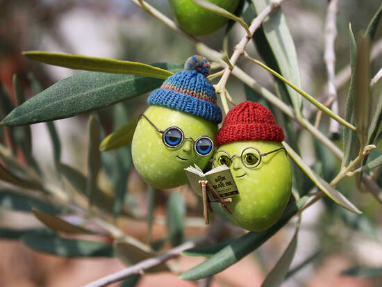 The book of olive oil