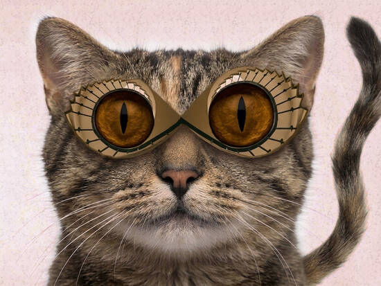Meow