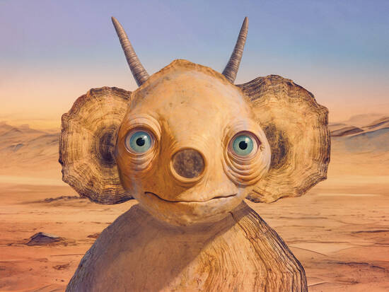 Desert mock turtle