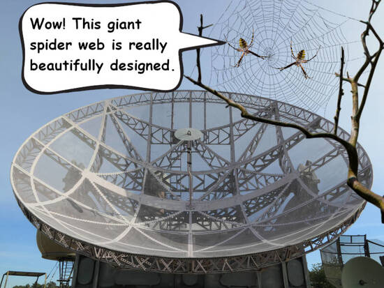 Giant spider web