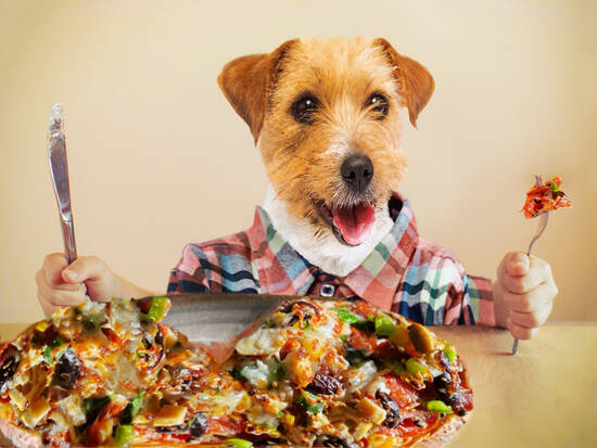Pupperoni pizza
