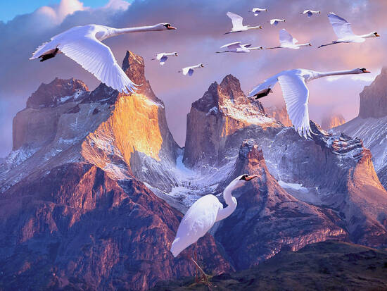 High Altitude Migration 