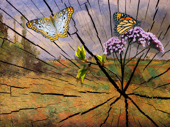 Springtime