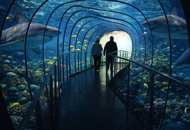 Inside the Aquarium, 4 votes