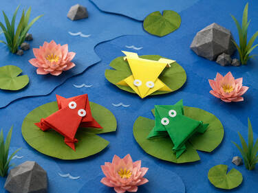 Origami Pond, 9 votes