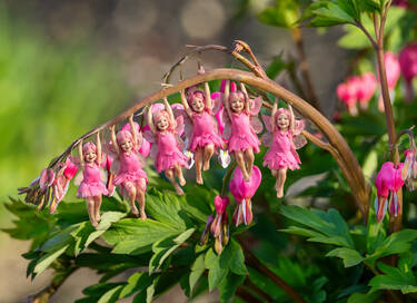 Hanging fairies, 6 votes