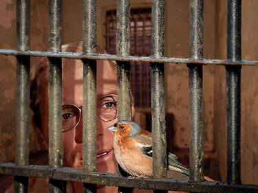 Bird Man of Alcatraz, 8 votes