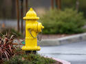 Yellow Hydrant