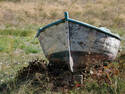 Abandoned Boat