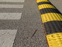 Speed Bump and Crosswalk