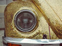 Shiny Beetle