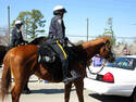 Horseback Riding Police