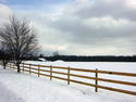 Wintry Fence