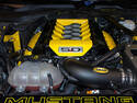 Mustang V8