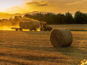 Hay at Sunset