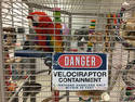 Danger Macaws