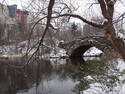 Winter in Central Park