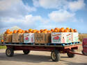Pumpkin Trailer