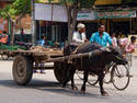 Indian Cart
