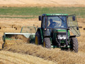Harvest