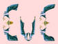 Eve