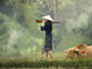 No more poaching?