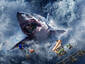 Killer Shark