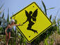 Fairy Crossing