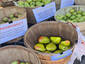 Pears For Sale