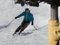 Skiing