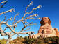 The Land of the Mummies