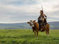 High Plains Drifter