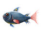 Denim Fish