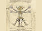 Da Vinci s alien anatomy