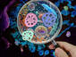 New bacteria species