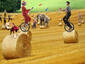 Outdoor circus