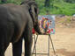 Painter elephant