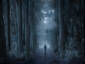 Walk in the Woods